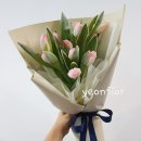 아이스퀸목포