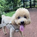 운봉스테이 이미지