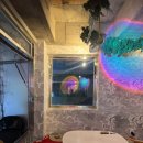 뿌셔뿌셔짐 | 군자야장술집 ‘무유’ 군자핫플