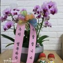 띵동플라워 이미지