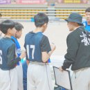 조봉초등학교 이미지