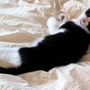 하남미가 이미지