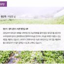 평밭농장 이미지