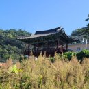 풍기보건지소 이미지
