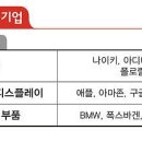 더티독 네이버블로그