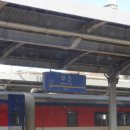 봉황슈퍼 | 다그닥...다그닥 경주 🏇