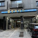 은빛카센타 이미지