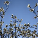 승승(정관점) 이미지