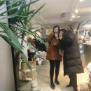 문득올렛원스