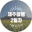 새별별하 | [제주여행] 2일차 (산방산유채꽃단지/사일리커피/호정이네/미크라트카페/한림수협위판장/새별별하숙소)