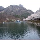 전설의 산, 진안 마이산 탑사~봉두봉~탄금봉~광대봉 조망 벚꽃 산행 이미지