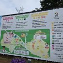 김천혁신농업협동조합 | 2025년 김천 김밥축제 후기 – 올해는 정말 달라졌을까? 직접 다녀온 솔직 리뷰