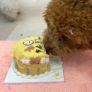 바르개맛있개 이미지