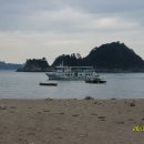 비진도횟집 이미지