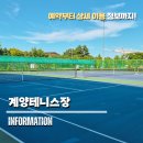 계양테니스장 | 계양테니스장 방문기 쾌적한 실내 야외 코트 환경