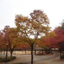 대성주유소 화장실 이미지