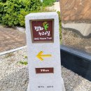 바람불어 좋은날.(평화누리길 1코스 염하강철책길 역방향도보) 이미지
