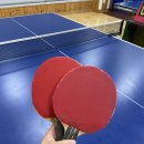 라이프 탁구클럽 이미지