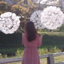 민들레공방 이미지