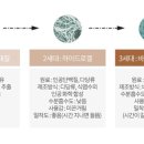 루루바이오 이미지