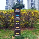 옥구공원 2주차장 이미지