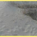 갯벌생태 체험장 이미지