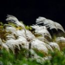 바람소리