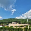 황골장미마을 이미지