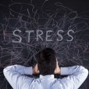 우성헬스 이미지