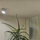 렛츠성형외과의원 이미지