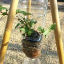 태환농장 이미지