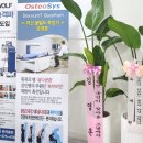 신촌연세정형외과의원 네이버블로그