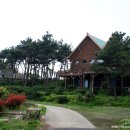 개구리목장 이미지