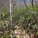 씨유완도신지점 | 남도의 작은 설악산, 월출산 천황봉