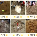 예랑 유치원 이미지