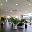 TOY&CAFE원앤원(토이앤카페원앤원)