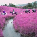 함께사는사람들