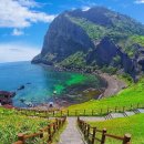 나무그늘 포토타임 이미지