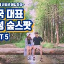 감성숲