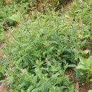 보현농장 이미지