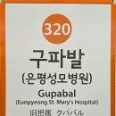가톨릭대학교서울성모병 티스토리