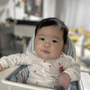 우리들체어서부산청판 | 부산 이케아 유모차 끌고 쇼룸으로 가는 방법과 아기의자 안틸로프 구매후기 내돈내산