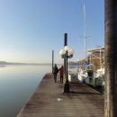 잉꼬세탁소 이미지