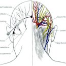 둔산튼튼한의원 이미지