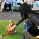 WR(대구광역시 중구)-50[국채보상로]-하-21 | 숨고르기 청년의 생활 (뜨개 전시 / 유기묘 카페 / 채용 설명회)