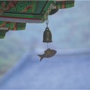 역사체험 이미지