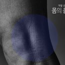 코끼리들이 웃는다 이미지