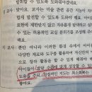 진모 525p 미술교육이론 이미지