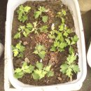 동원농장 이미지