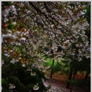 석관동3 이미지